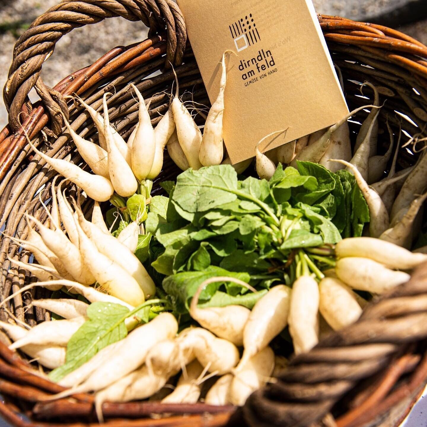 Korb mit weißem Wurzelgemüse 