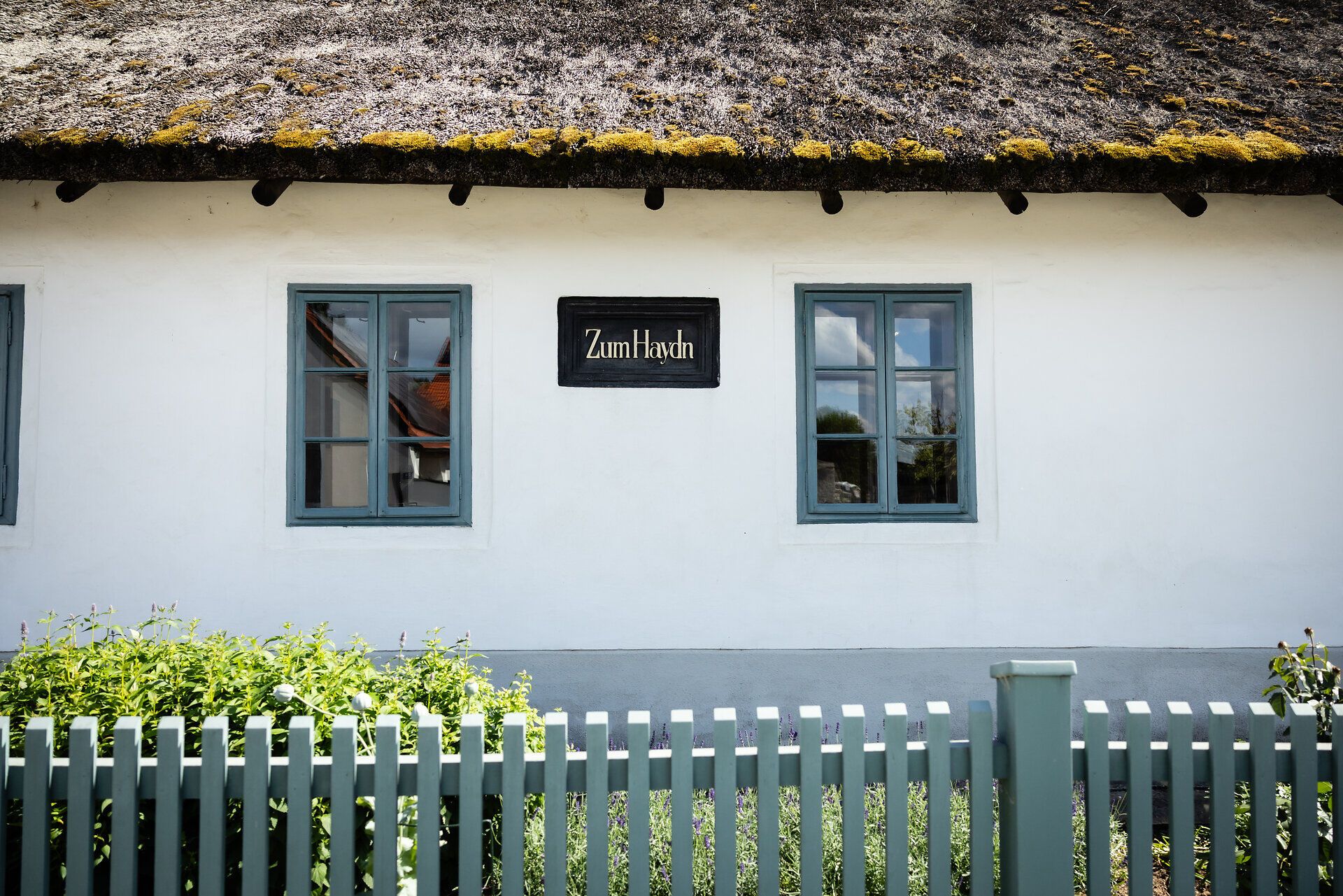 Zwei Fenster vom Haydn Geburtshaus von außen und eine Tafel auf der "Zum Haydn" steht.