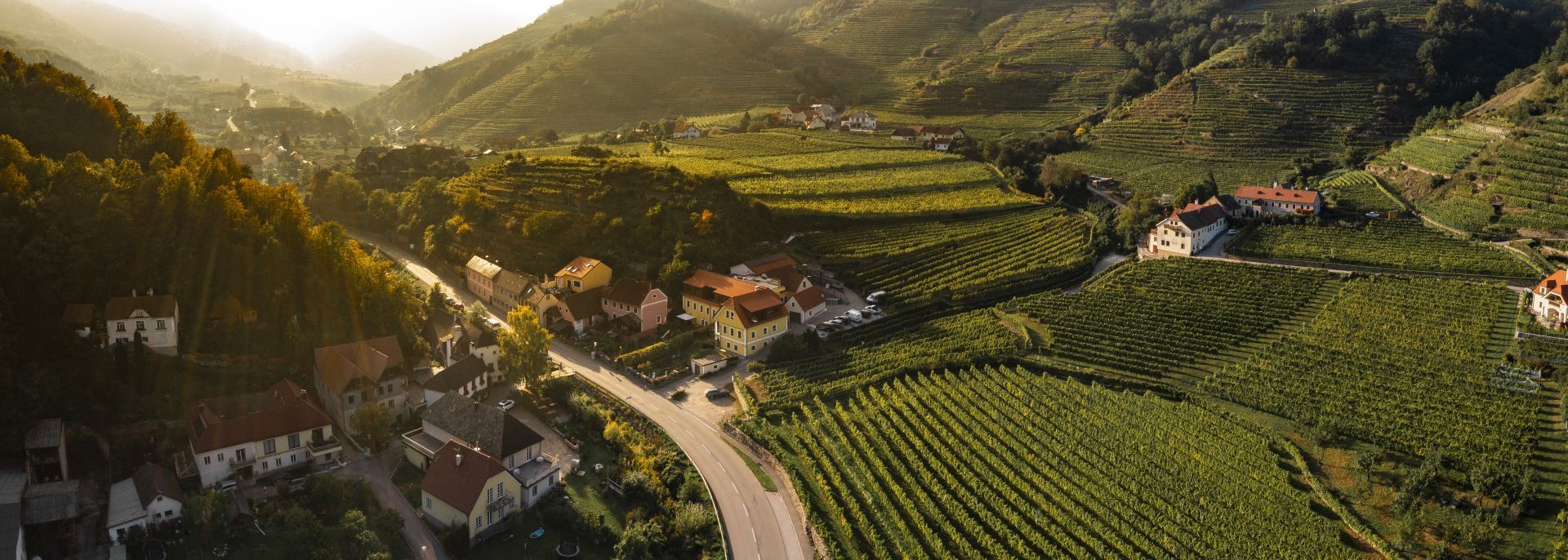 Luftaufnahme einer ländlichen Landschaft mit Weinbergen und Häusern im Sonnenuntergang.