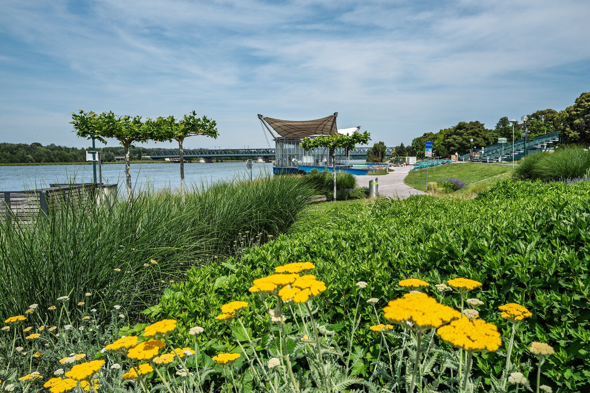 Donaubühne mit Donau, blühende Sträucher, Bäume, blauer Himmel und Sonnenschein sind zu sehen.