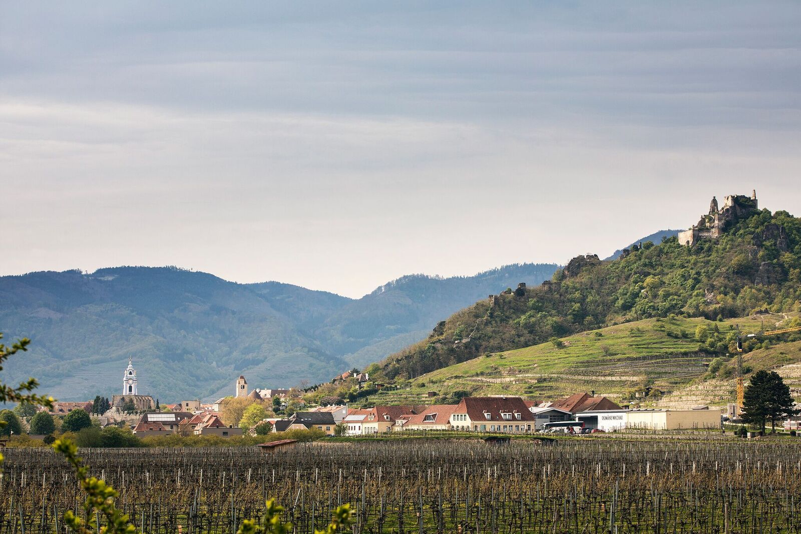 Blick auf die Ruine Dürnstein und umliegende Landschaft mit Weinbergen und Dorf.