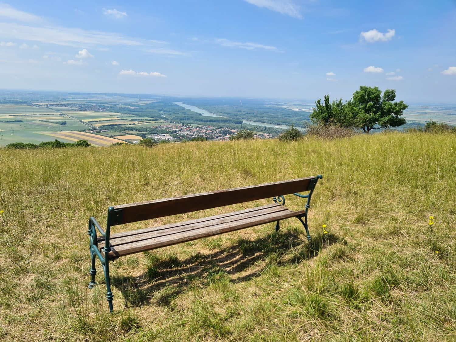 Eine Holzbank auf einer Wiese mit Blick auf eine weite Landschaft und einen Fluss in der Ferne.