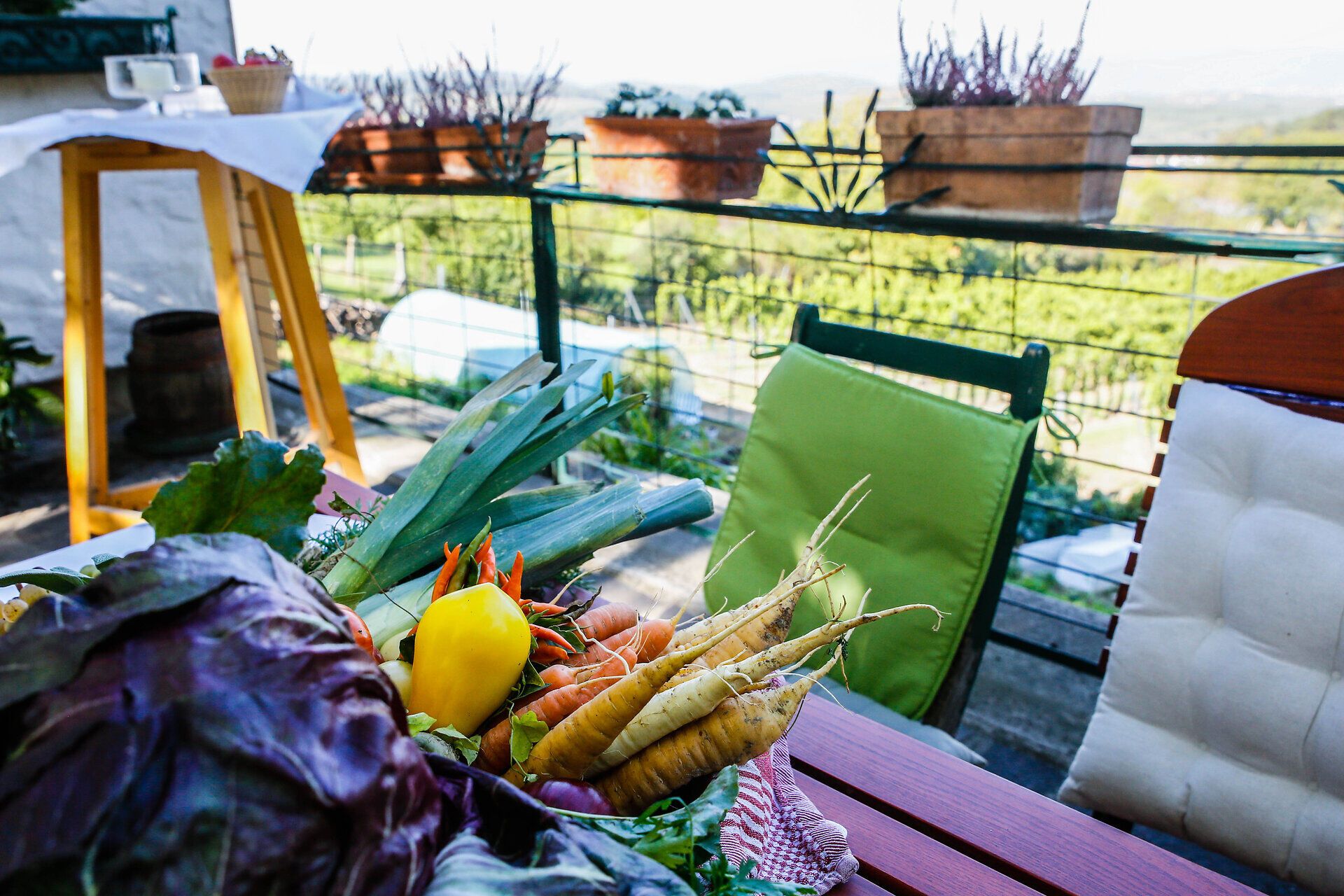 Ein einladender Tisch im Freien, geschmückt mit frischen, bunten Gemüsesorten, darunter leuchtende Karotten und knackiger Salat. Die sanfte Brise und der Blick auf die umliegenden Weinberge schaffen eine harmonische Atmosphäre, die zum Verweilen einlädt.