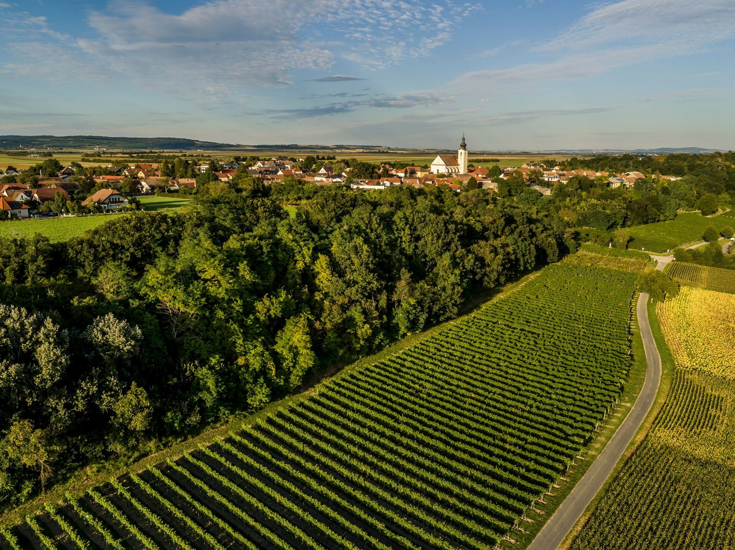 Aerial view of Stetteldorf am Wagram with vineyards in the foreground and a church in the background.