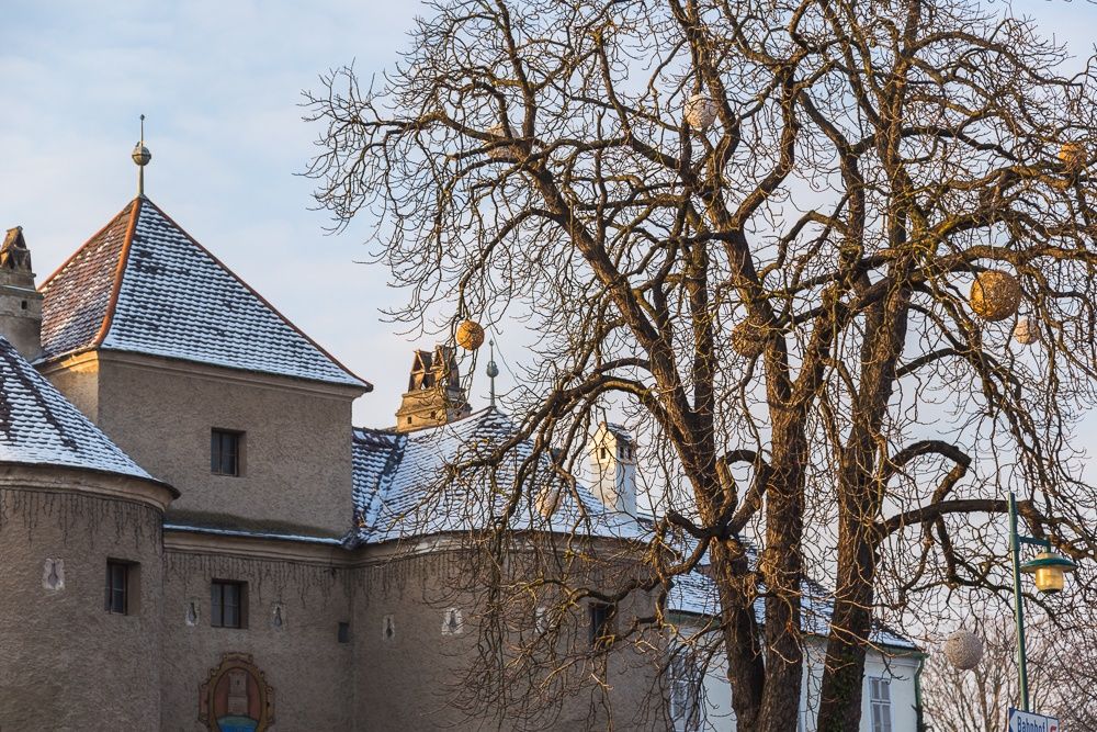 Schneebedecktes Gebäude mit Baum im Vordergrund in Traismauer.