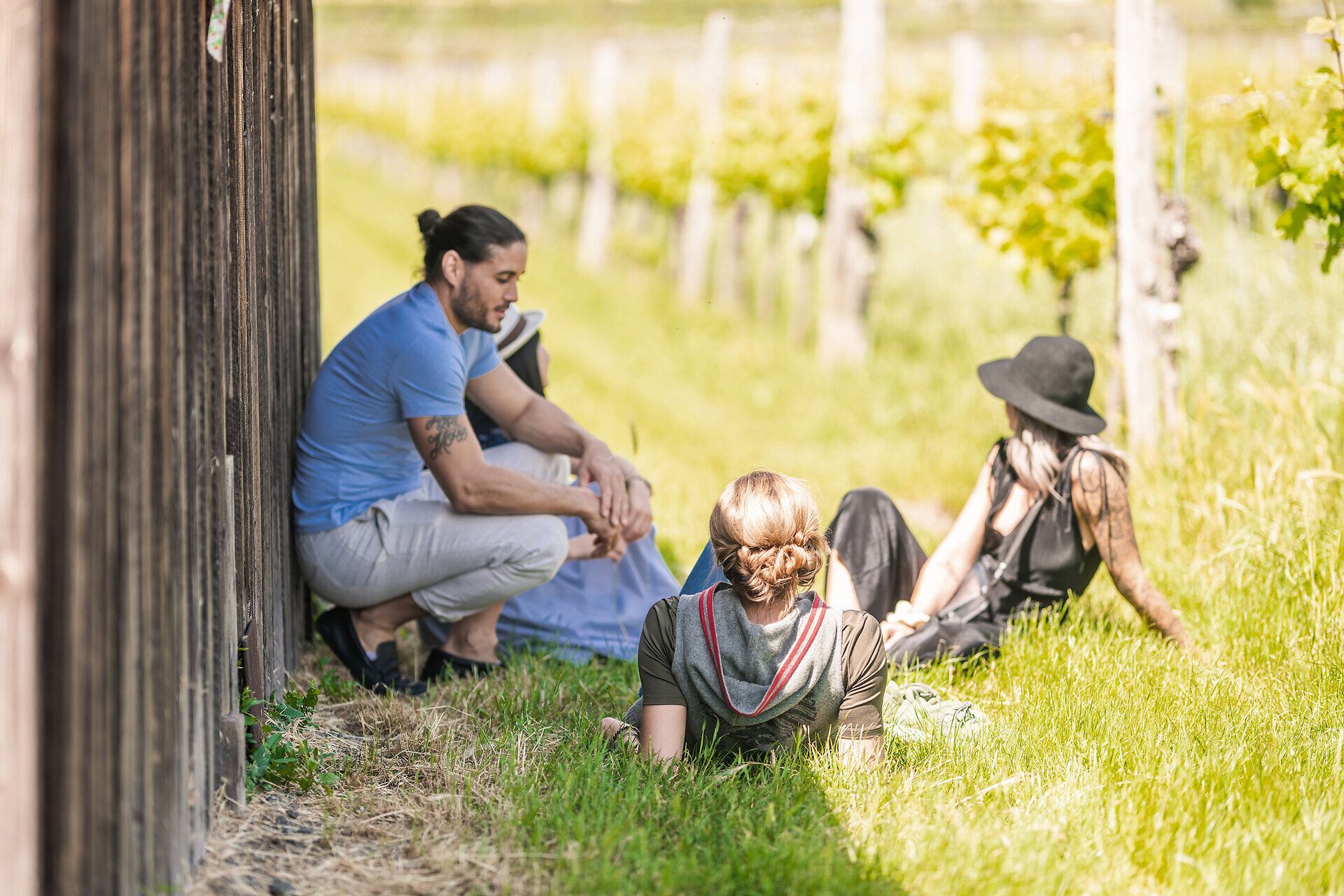 Vier junge Leute sitzen bei einer Holzhütte in der Wiese