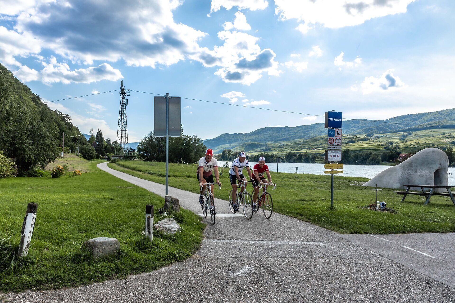 Drei Rennradfahrer fahren am Donauradweg bei der Wachauer Nase.