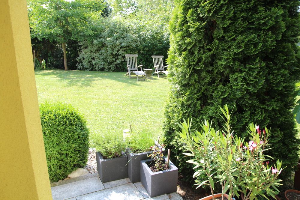 Garten mit Rasenfläche, zwei Liegestühlen und Pflanzen in Töpfen.