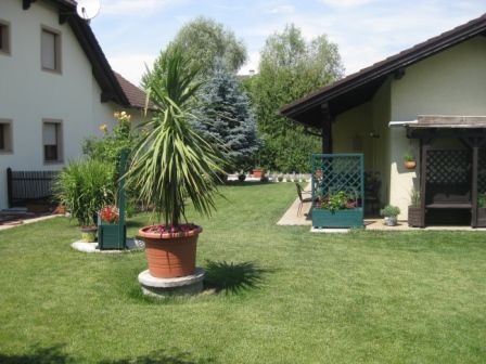 Gepflegter Garten mit Rasen, Topfpflanzen und zwei Häusern.