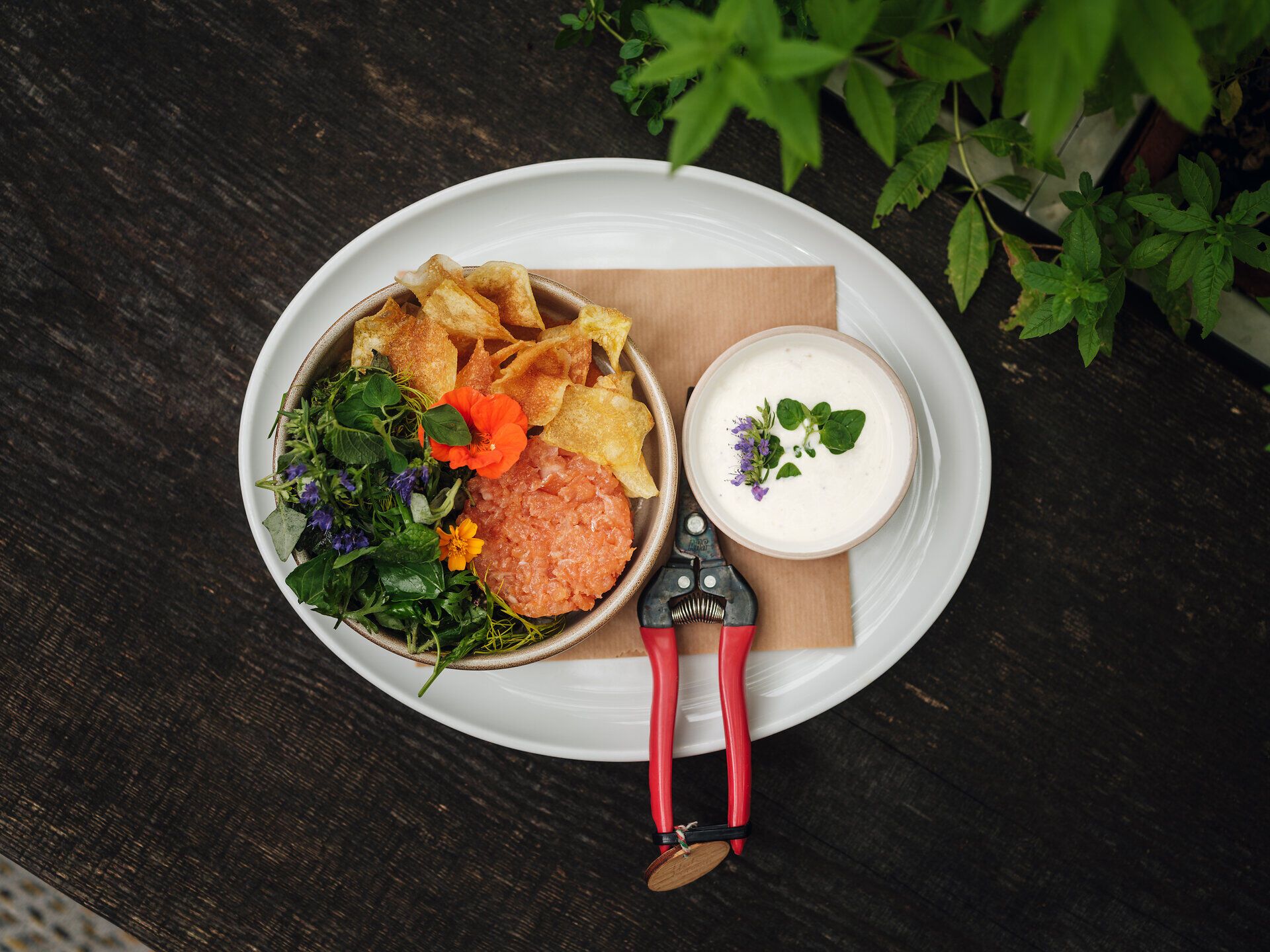 Lachstartare mit Kartoffelchips, Salat und Kräutersauce, daneben liegt als Besteck eine Gartenschere