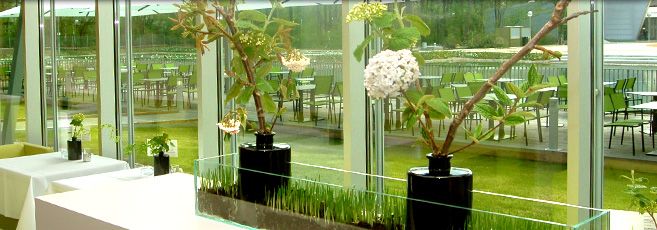 Innenansicht eines modernen Cafés mit großen Fenstern und Pflanzen.