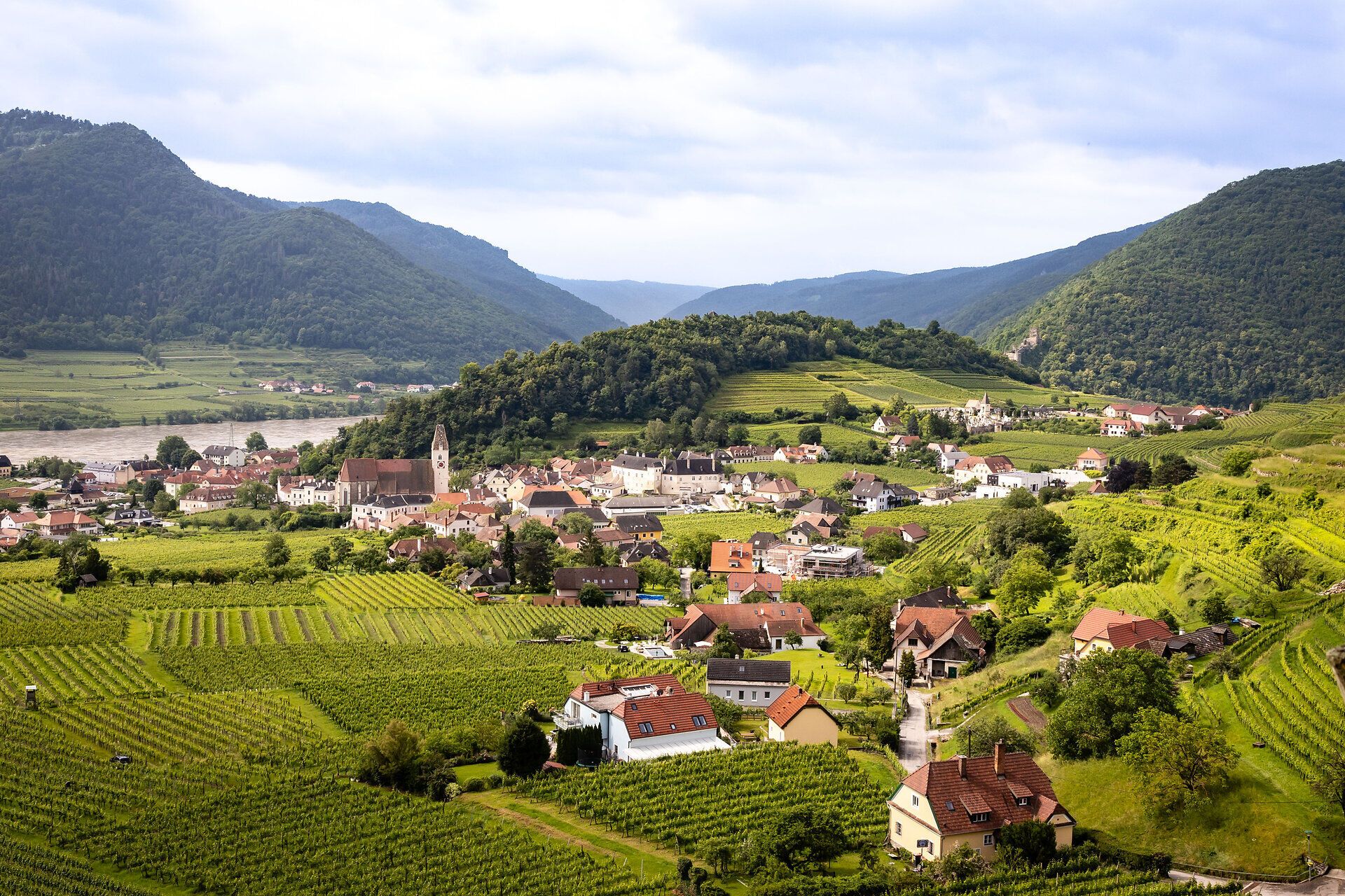 Spitz in der Wachau mit umliegenden Weinreben