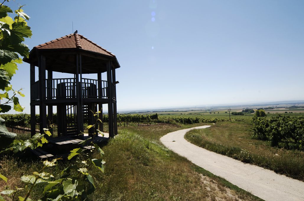 Aussichtswarte mit rotem Dach in einer Weinlandschaft.