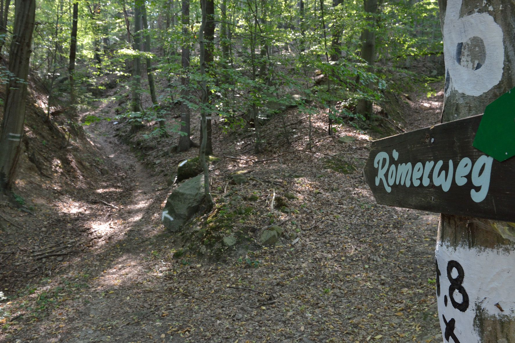 Waldweg mit einem Schild, das 'Römerweg' zeigt.