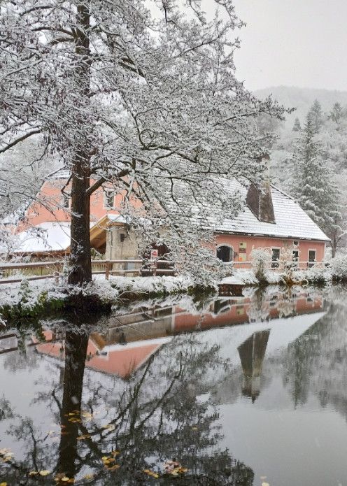 Winter