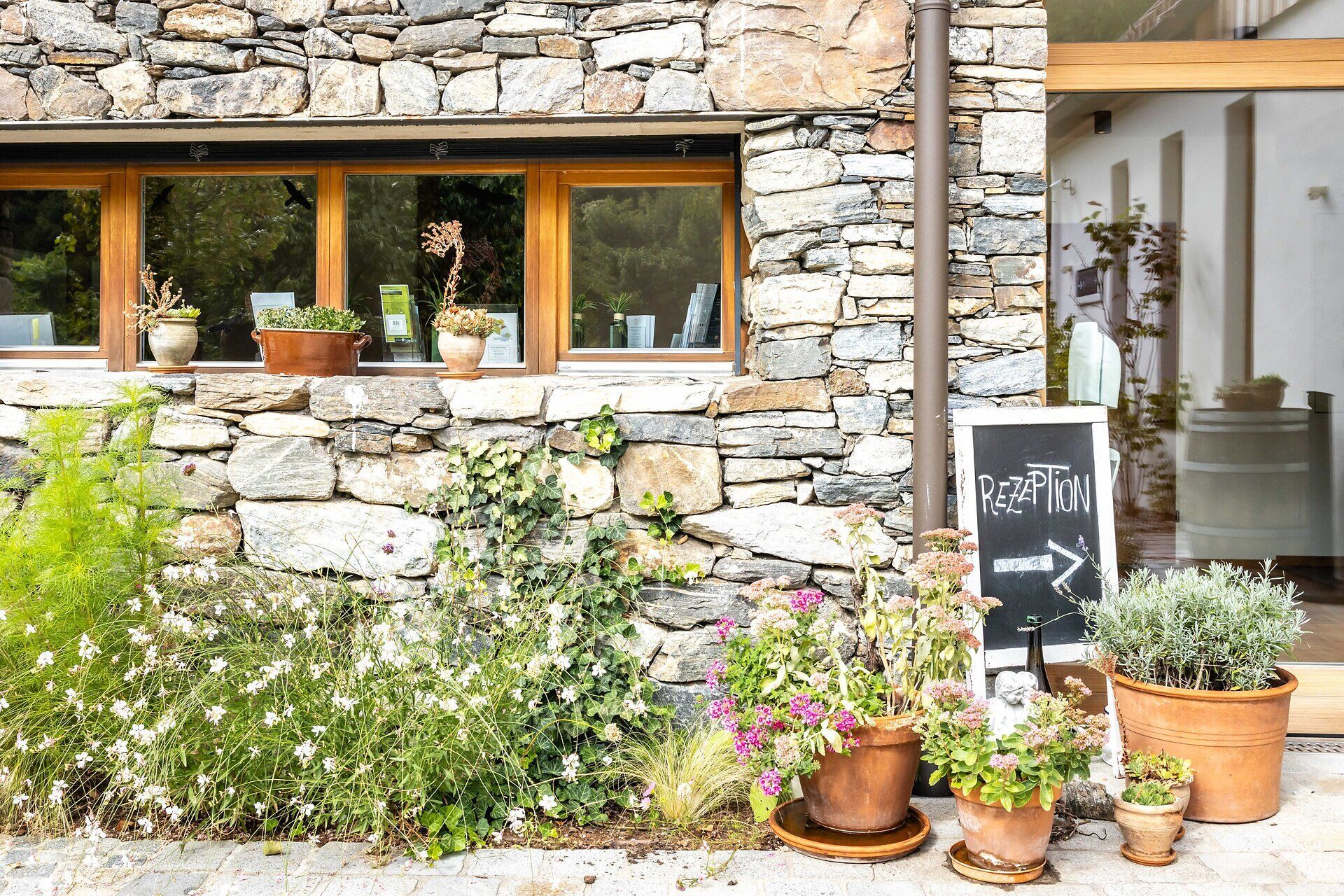 Eingangsbereich vom Weinhotel Nigl mit typischer Steinmauer und grünen Pflanzen davor.
