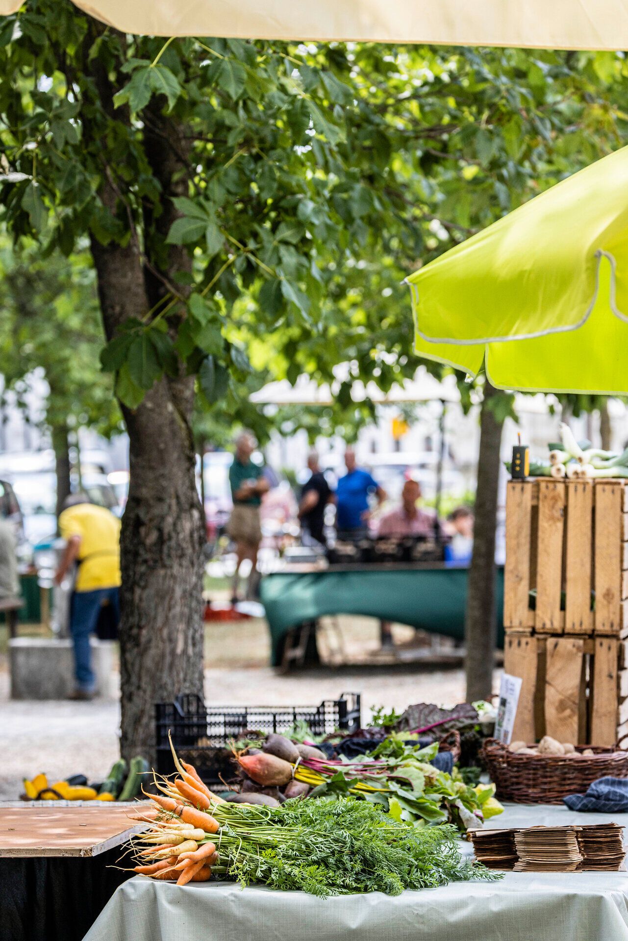 Marktszene mit grünem Blätterdach und Menschen an Ständen.
