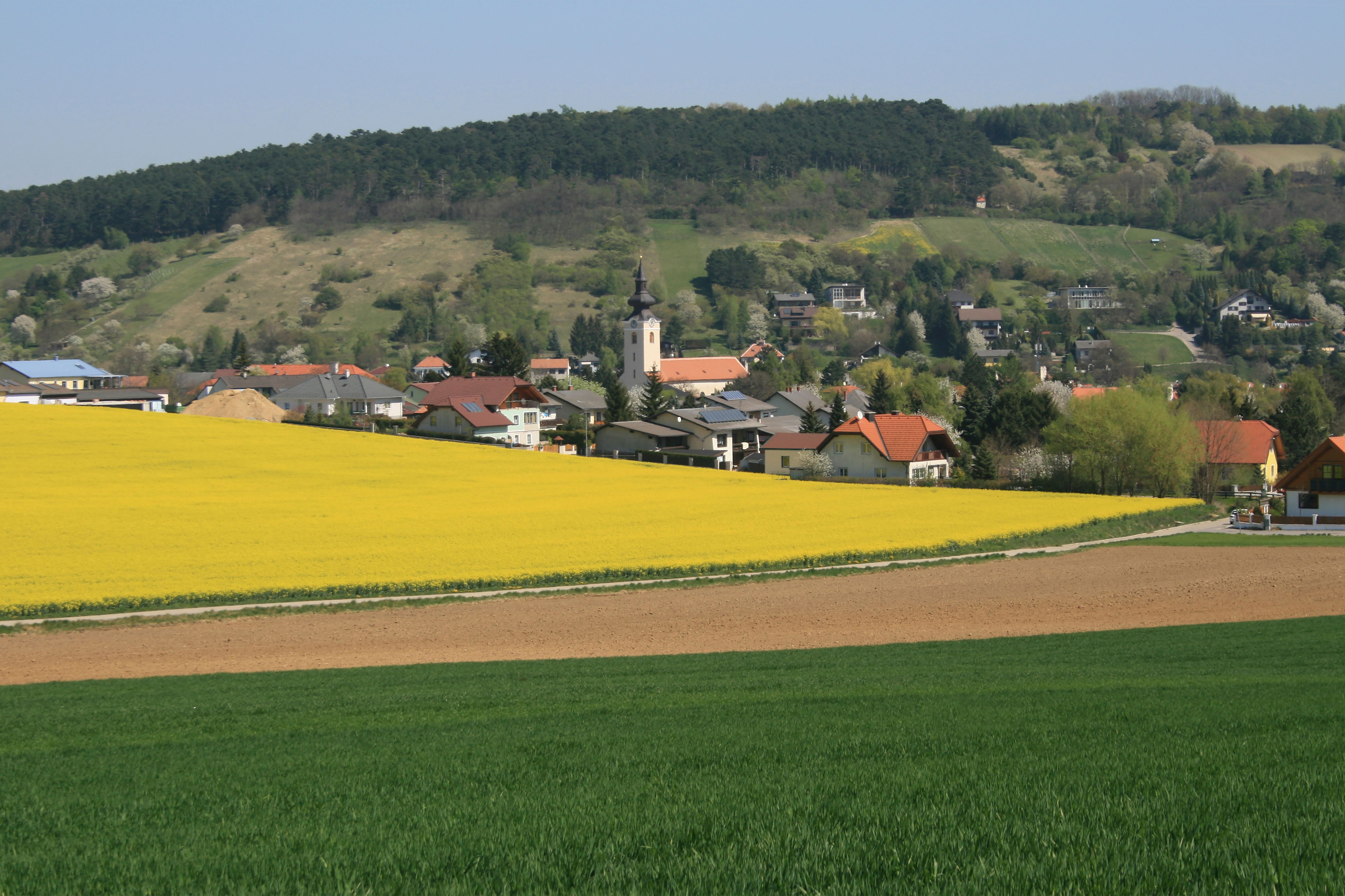 Landschaft mit gelbem Rapsfeld, Dorf und bewaldeten Hügeln im Hintergrund.