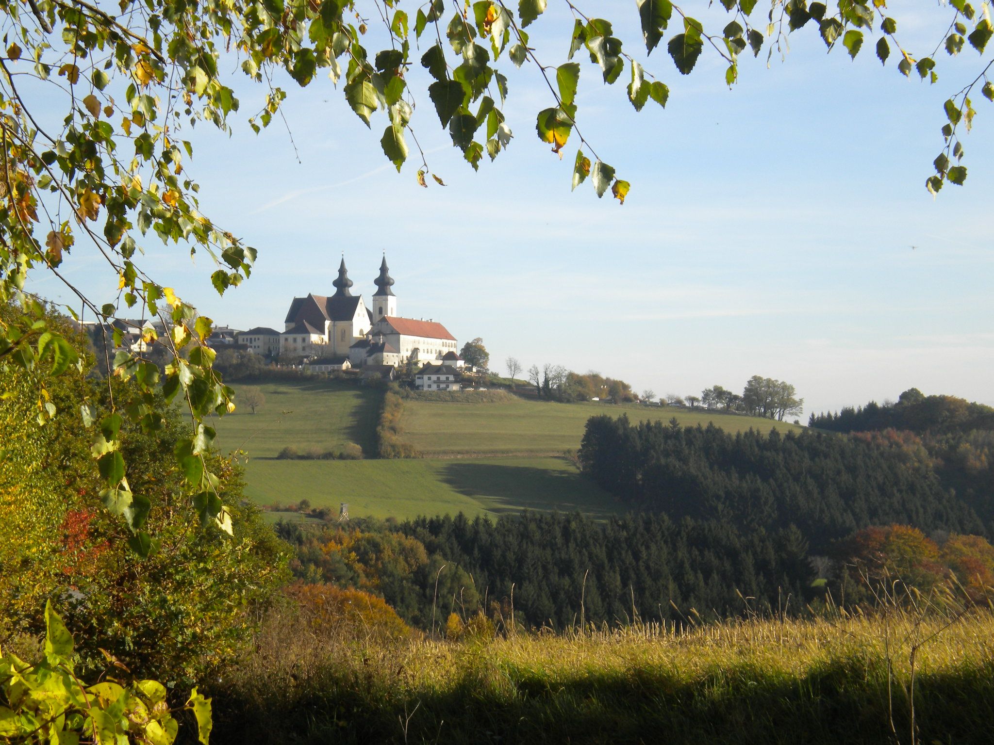 Landschaft mit Kirche Maria Taferl auf einem Hügel, umgeben von Bäumen und Wiesen.