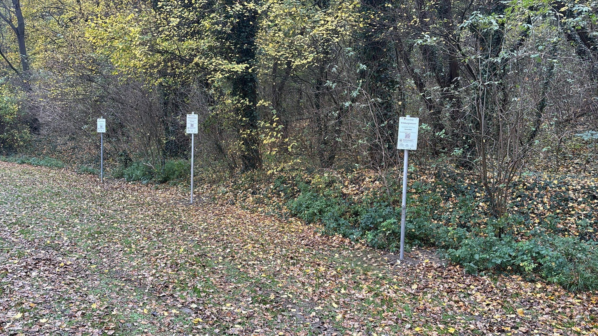 Stellplatz vor einem Wald mit Schildern. 