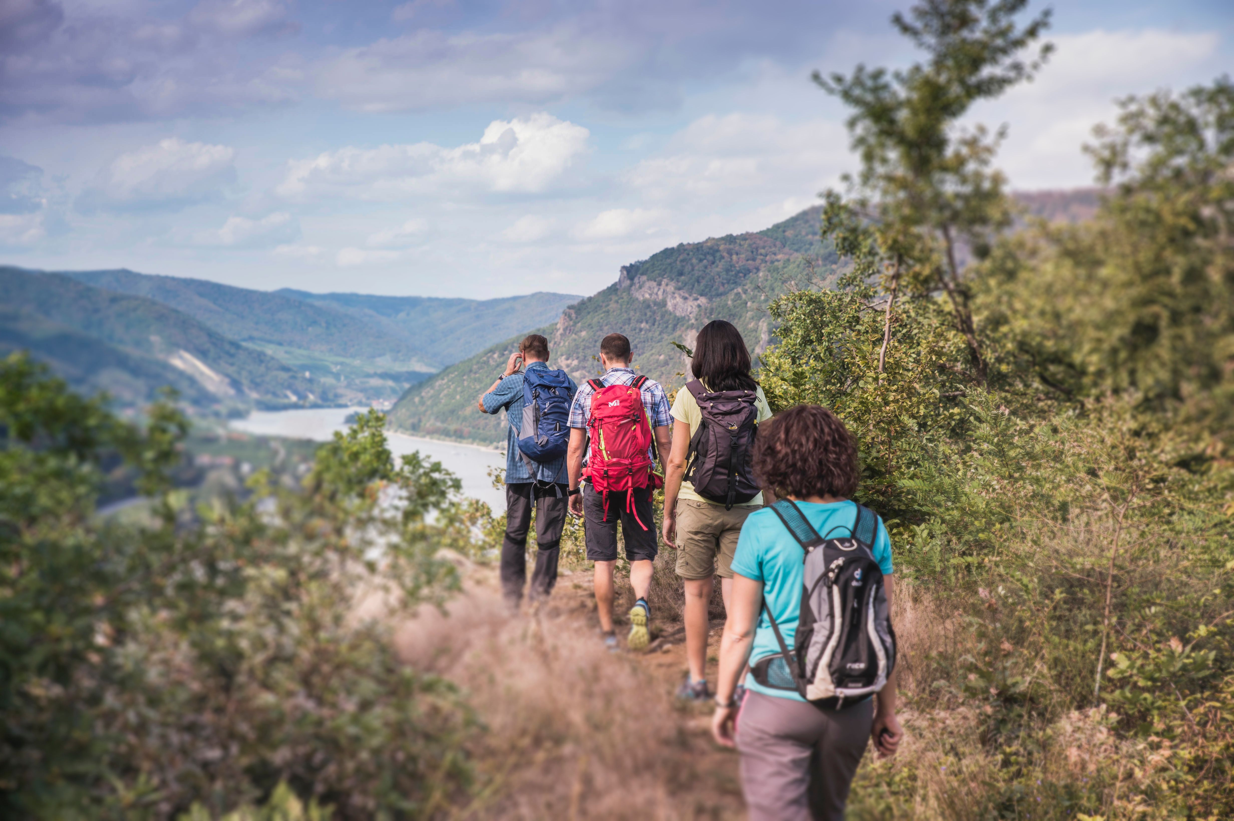 Wandern am Luftberg bei Aggsbach Dorf