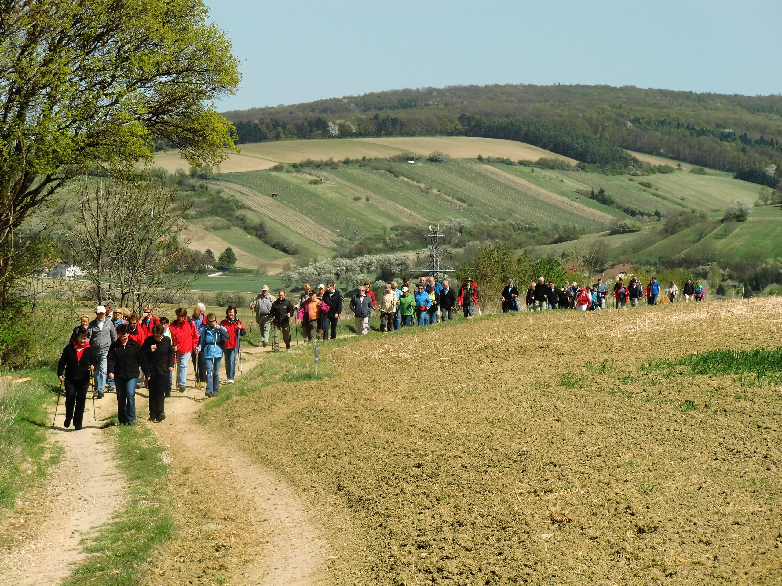 Gruppe von Menschen wandert auf einem Feldweg in einer hügeligen Landschaft.