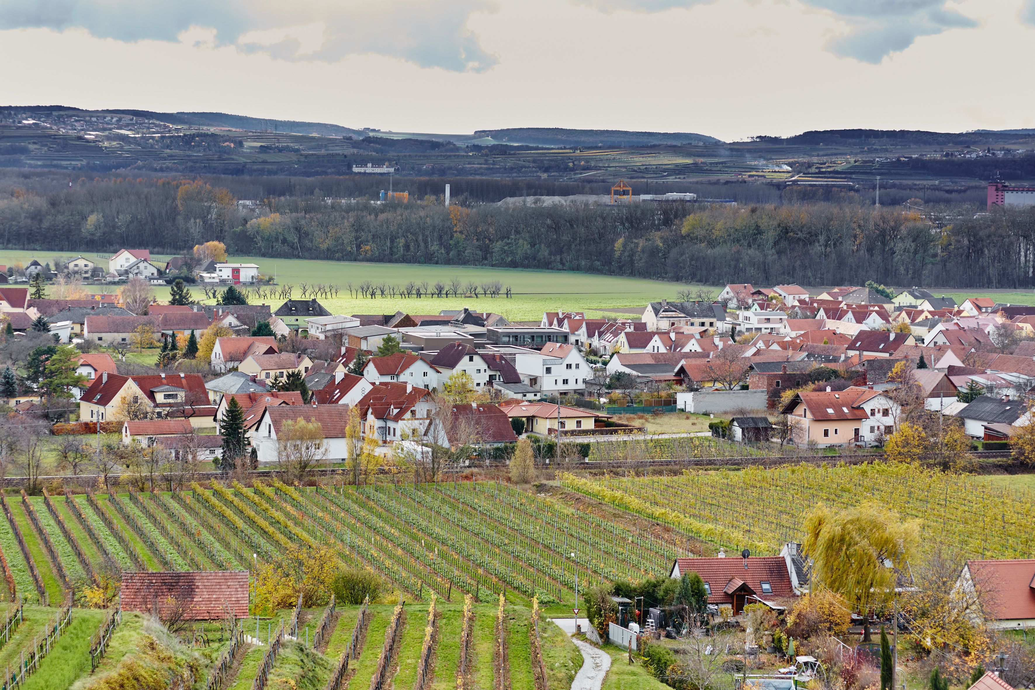 Blick auf das Dorf Rohrendorf mit Weinbergen im Vordergrund und Hügeln im Hintergrund.