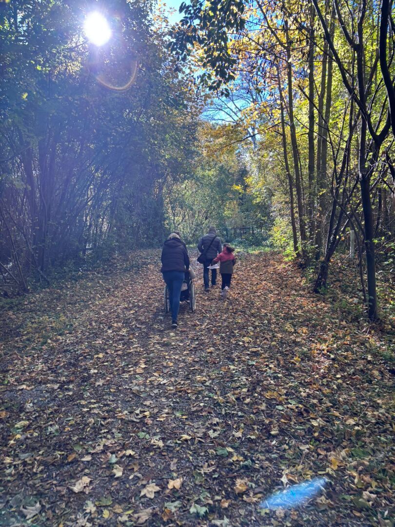Waldweg mit Menschen die spazieren gehen