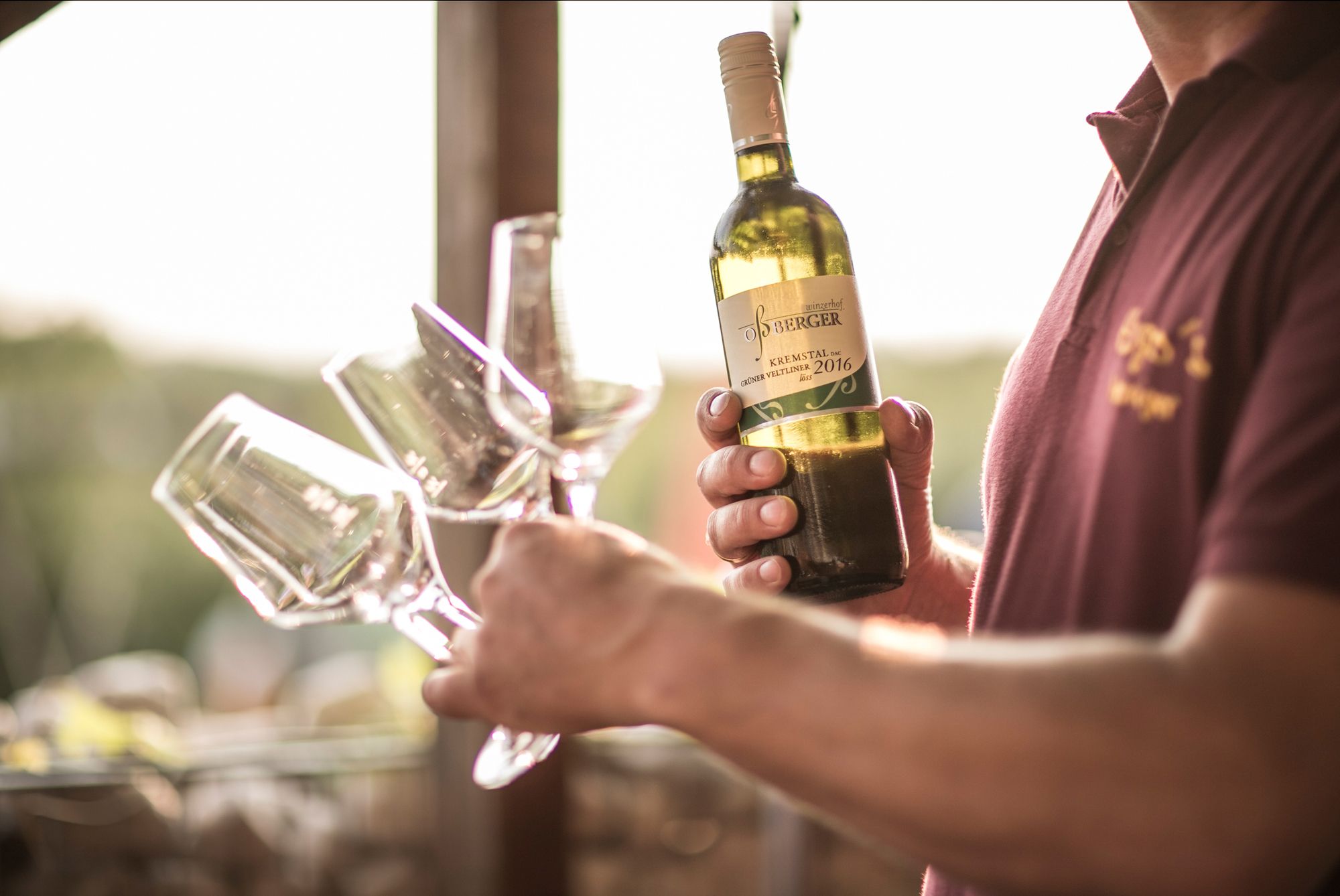 Person hält eine Flasche Grüner Veltliner 2016 und mehrere Weingläser.