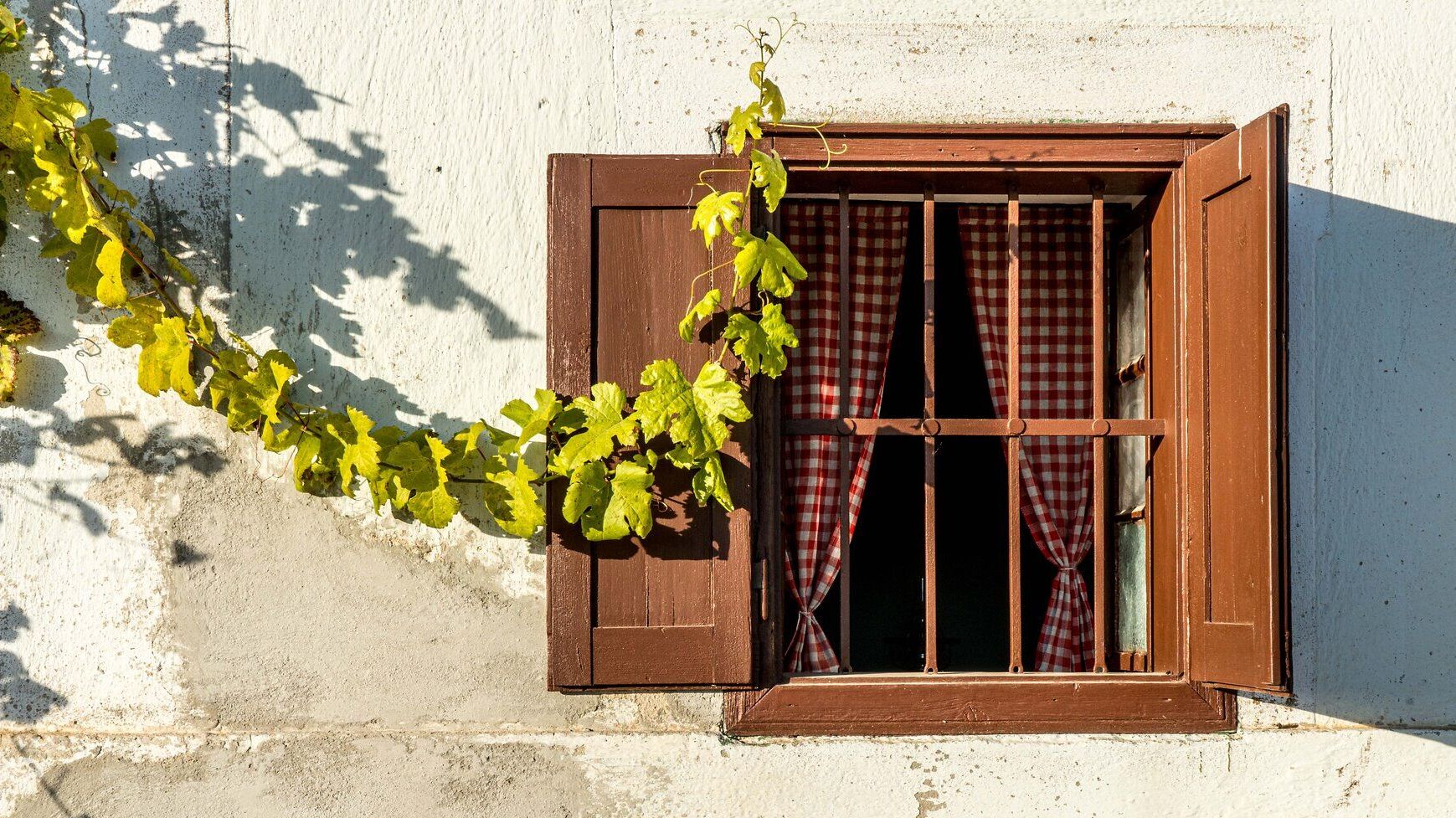 Fenster mit Holzläden, umrahmt von Weinranken.