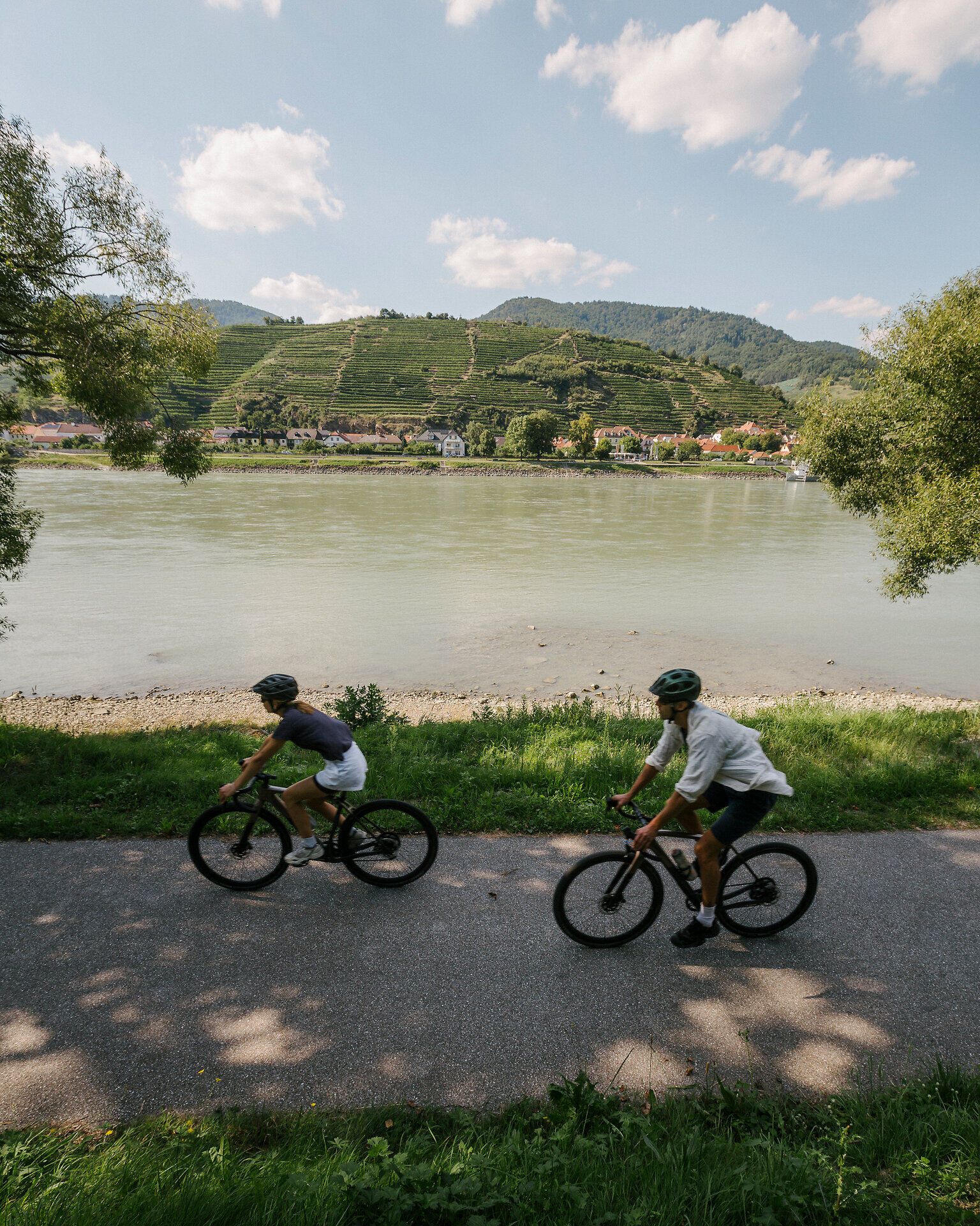 Zwei Personen fahren im Vordergrund auf einem Radweg neben der Donau, im Hintergrund sind die typischen Weinterrassen der Wachau.
