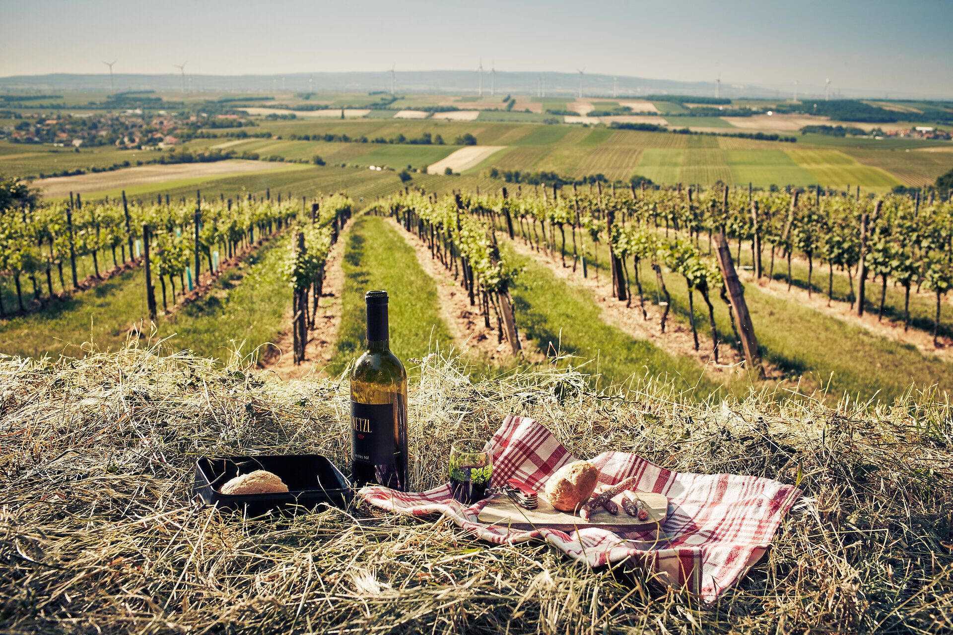Weinflasche und Jause auf einem Tuch in einer Wiese, im Hintergrund Weinreben.