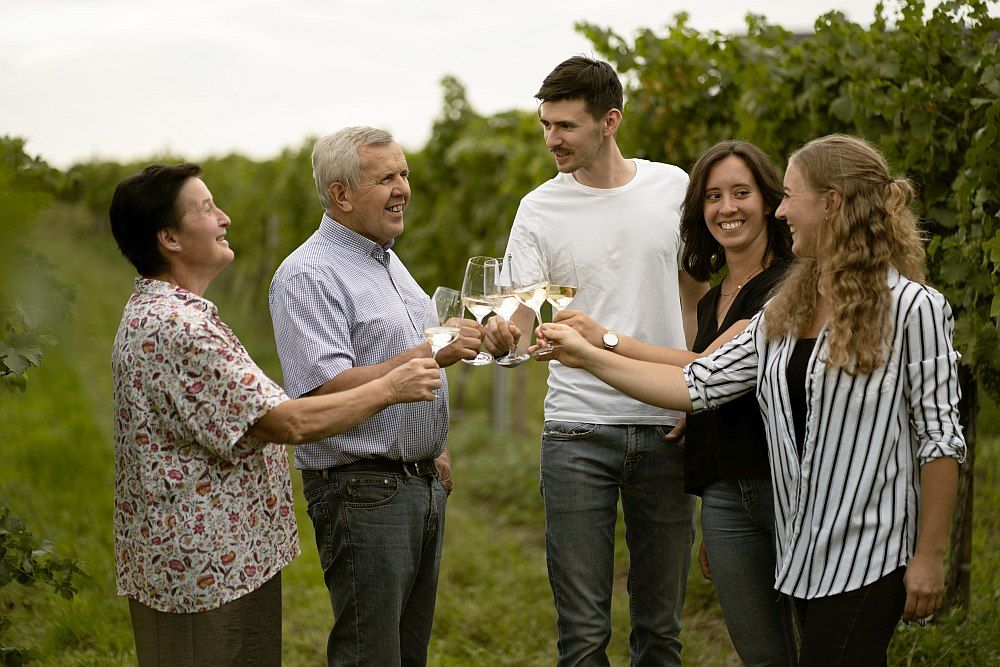 Five people clink glasses in a vineyard.