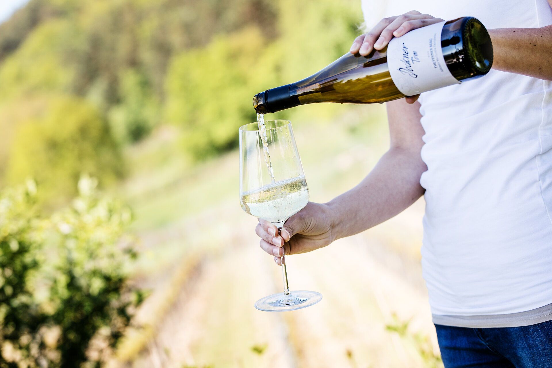 Ein erfrischendes Glas Wein wird inmitten der sanften Hügel des Traisentals eingeschenkt. Die goldene Farbe des Weins spiegelt die warmen Sonnenstrahlen wider, während die umliegenden Weinreben in voller Pracht erblühen. Hier wird der Genuss des Lebens in der Natur zelebriert.