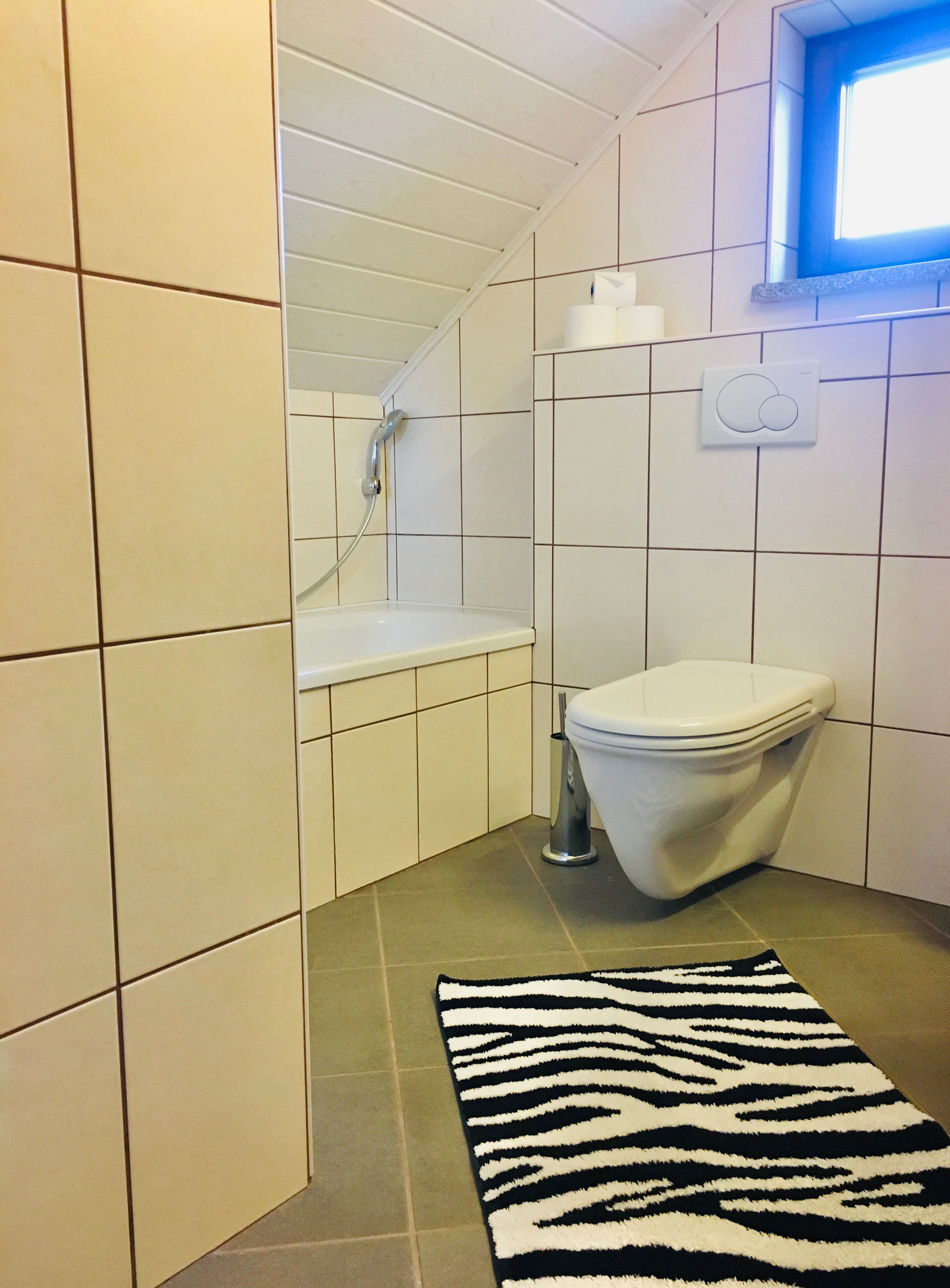 Modernes Badezimmer mit Badewanne, Toilette und Zebrateppich.