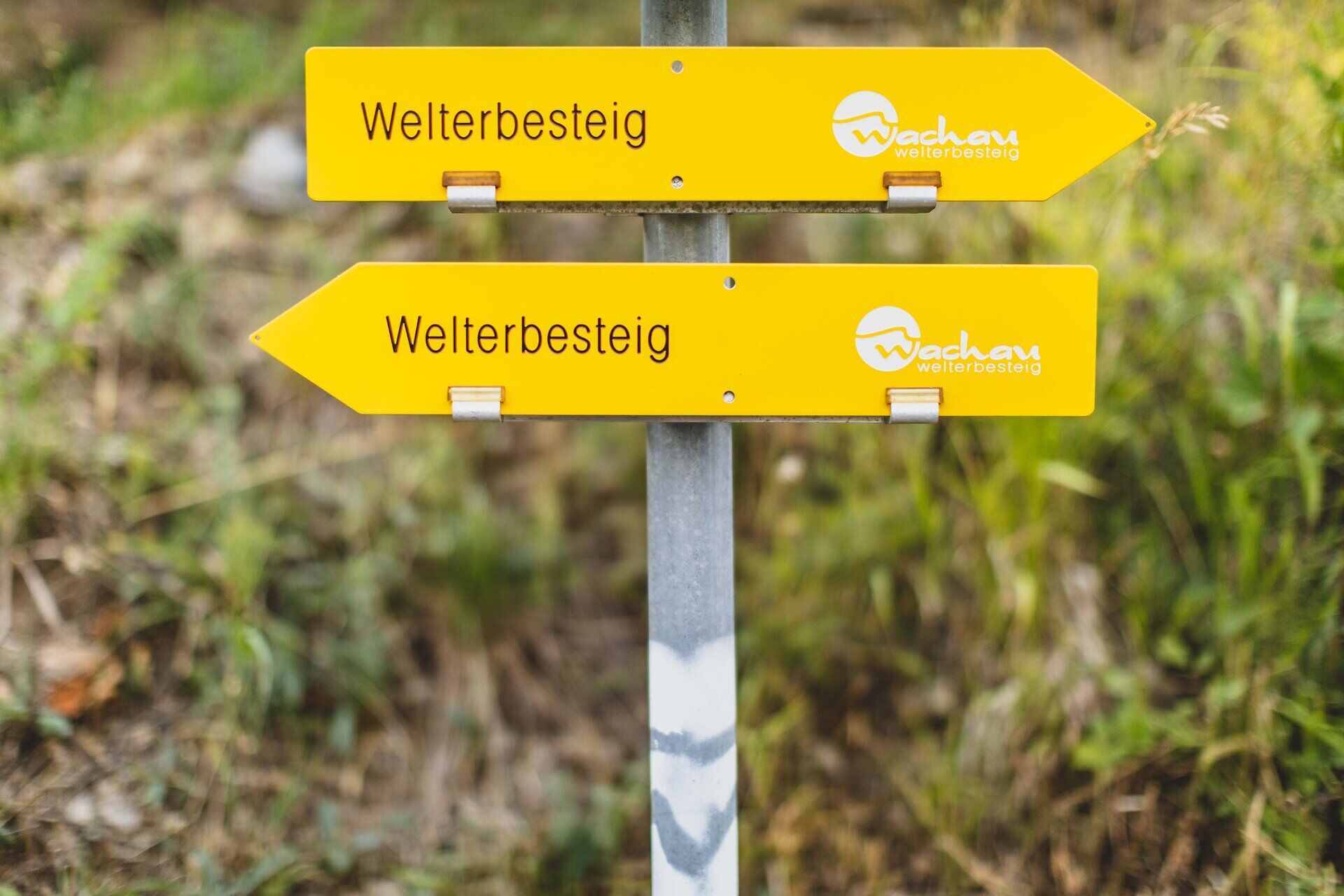 Die strahlend gelben Wegweiser leuchten im warmen Sonnenlicht und laden Wanderer ein, die atemberaubende Landschaft zu erkunden. Umgeben von sanften Hügeln und üppigem Grün, bietet dieser Ort eine perfekte Kulisse für unvergessliche Erlebnisse in der Natur.