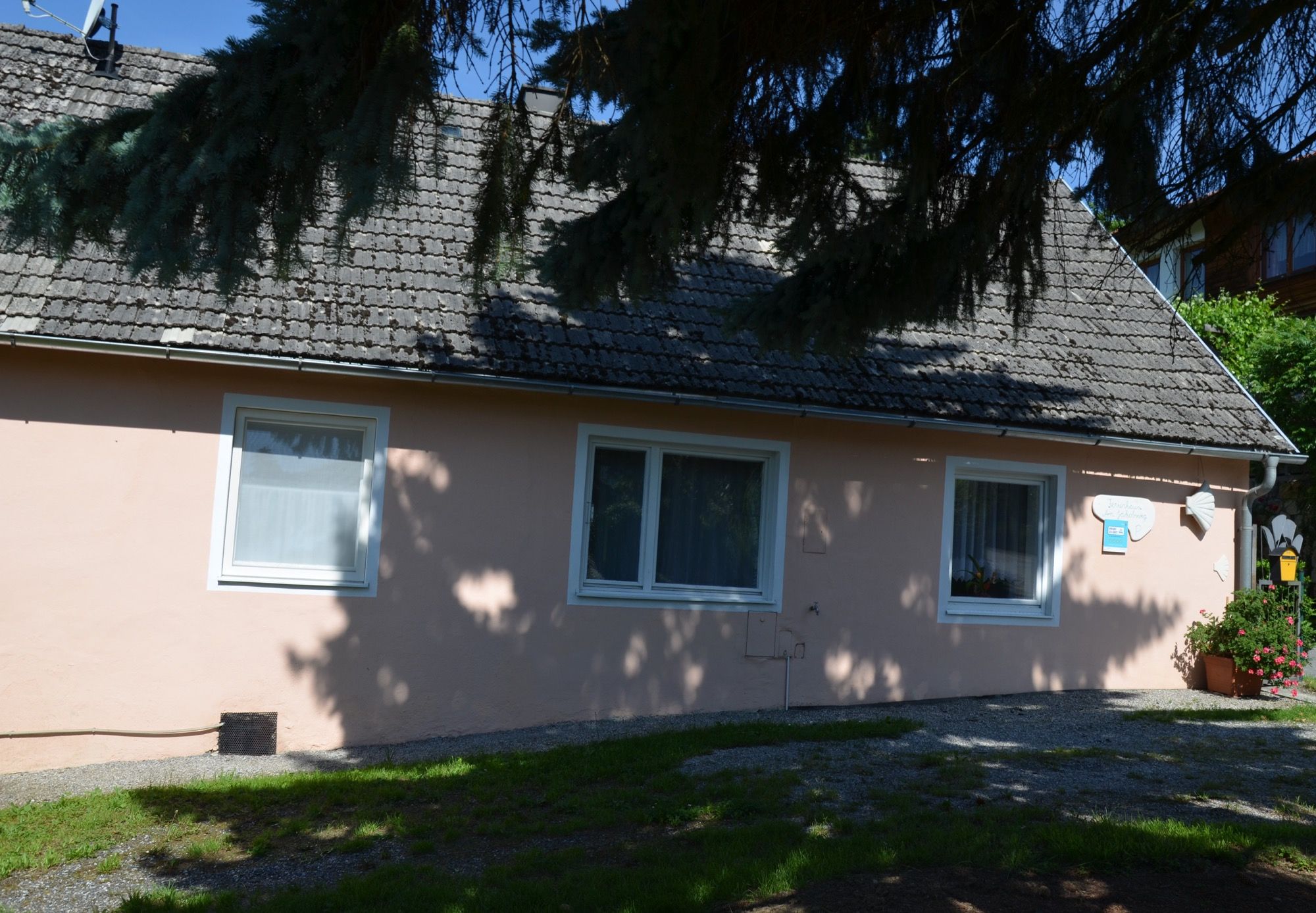 Ein kleines, rosa Ferienhaus mit schattenspendenden Bäumen im Vordergrund.