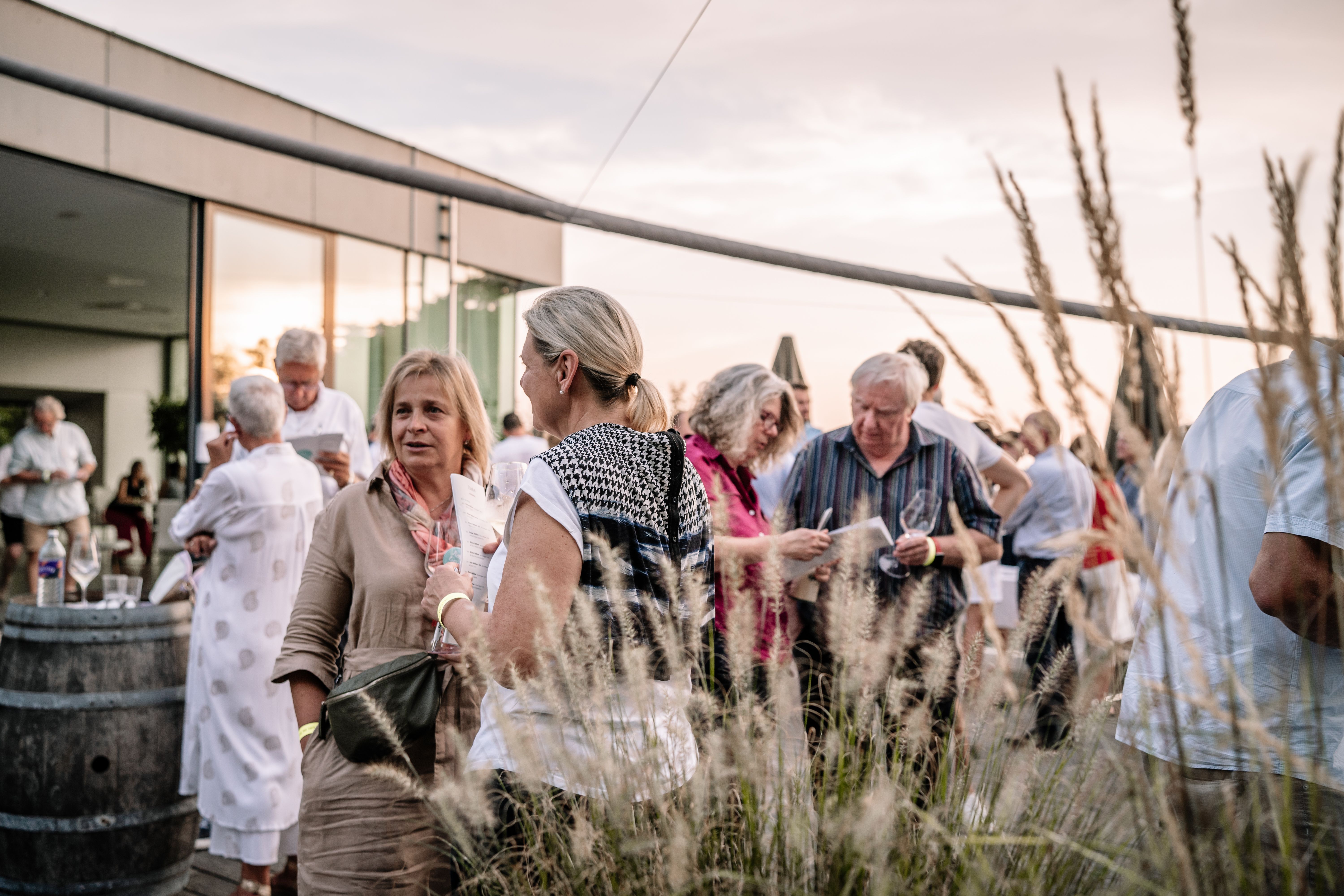 Weinverkostung auf der Terasse der Gebietsvinothek Weritas