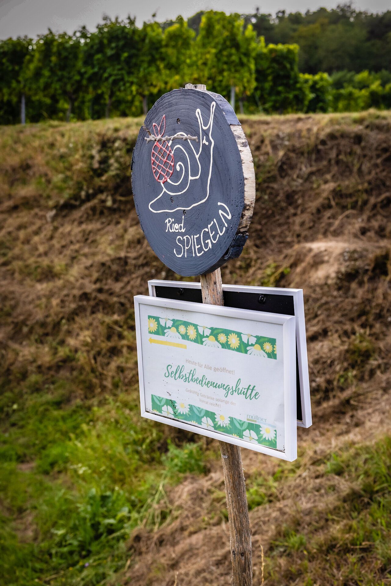 Wegweiser aus Holz am Weinfeldrand, es ist eine gemalte Schnecke mit einem Proviant-Rucksack gezeichnet. Darunter ein zweites Schild mit dem Aufschrift: Selbsbedienungshütte.