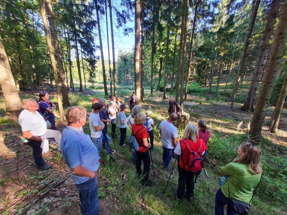 Wald der Zukunft Führung im Waldviertel