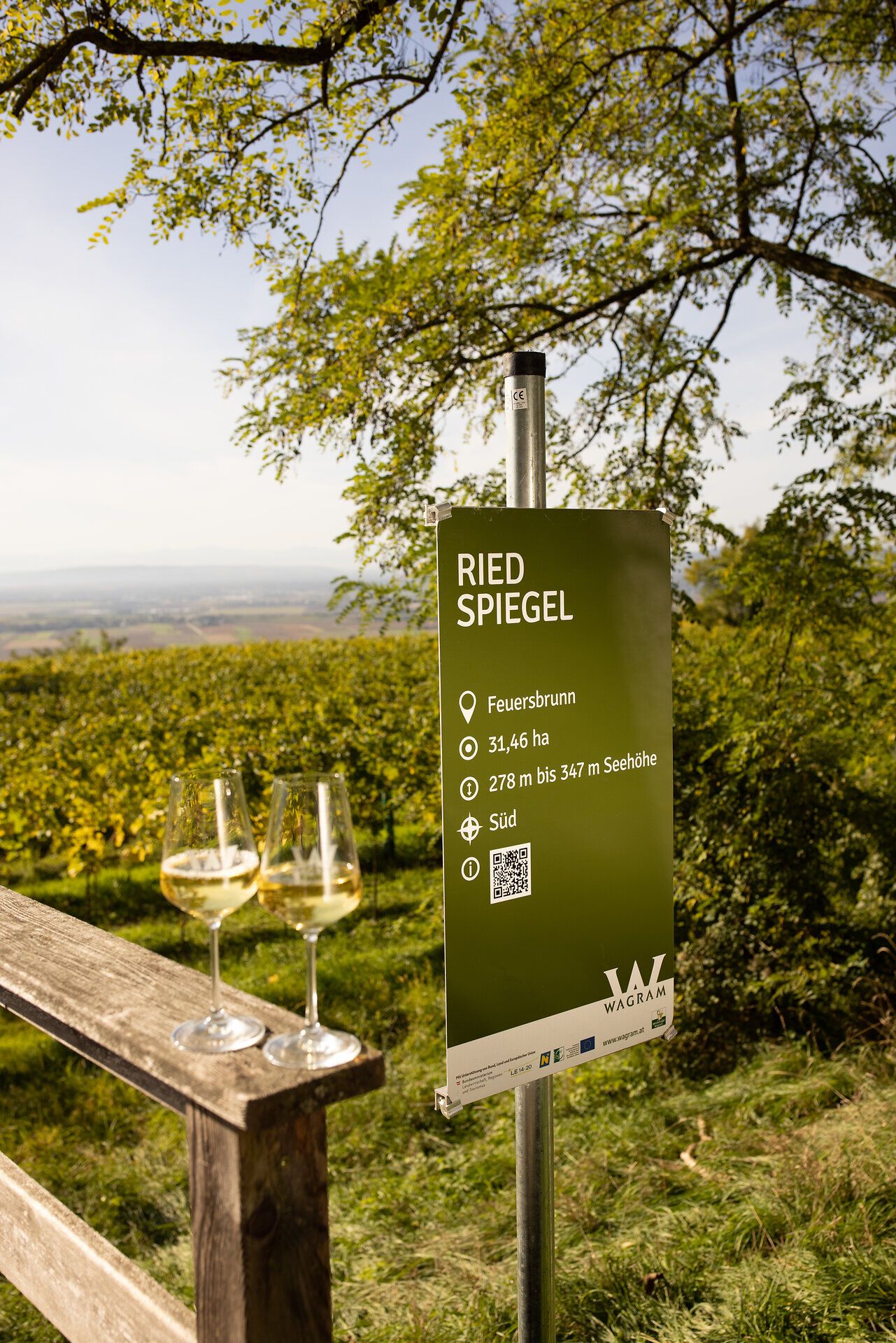 KWTD, Wein, Weingarten, Wein, Frühling/Sommer, Doris Schwarz Koenig