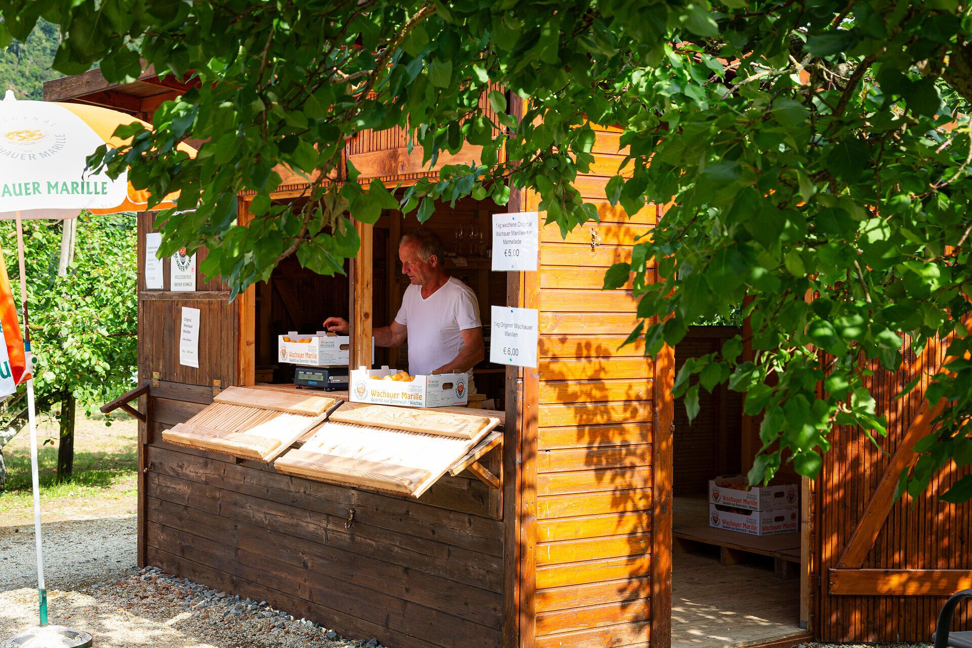 Inmitten der sanften Hügel der Wachau erblüht ein charmantes Bauernmarkt, wo frische Marillen und regionale Köstlichkeiten angeboten werden. Der Duft reifer Früchte und das geschäftige Treiben der Besucher schaffen eine einladende Atmosphäre, die zum Verweilen einlädt.