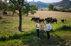 Maria Denk und Roman Siebenhandl neben der Weide von Matthias Penner