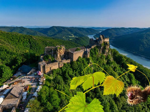 Burgruine Aggstein