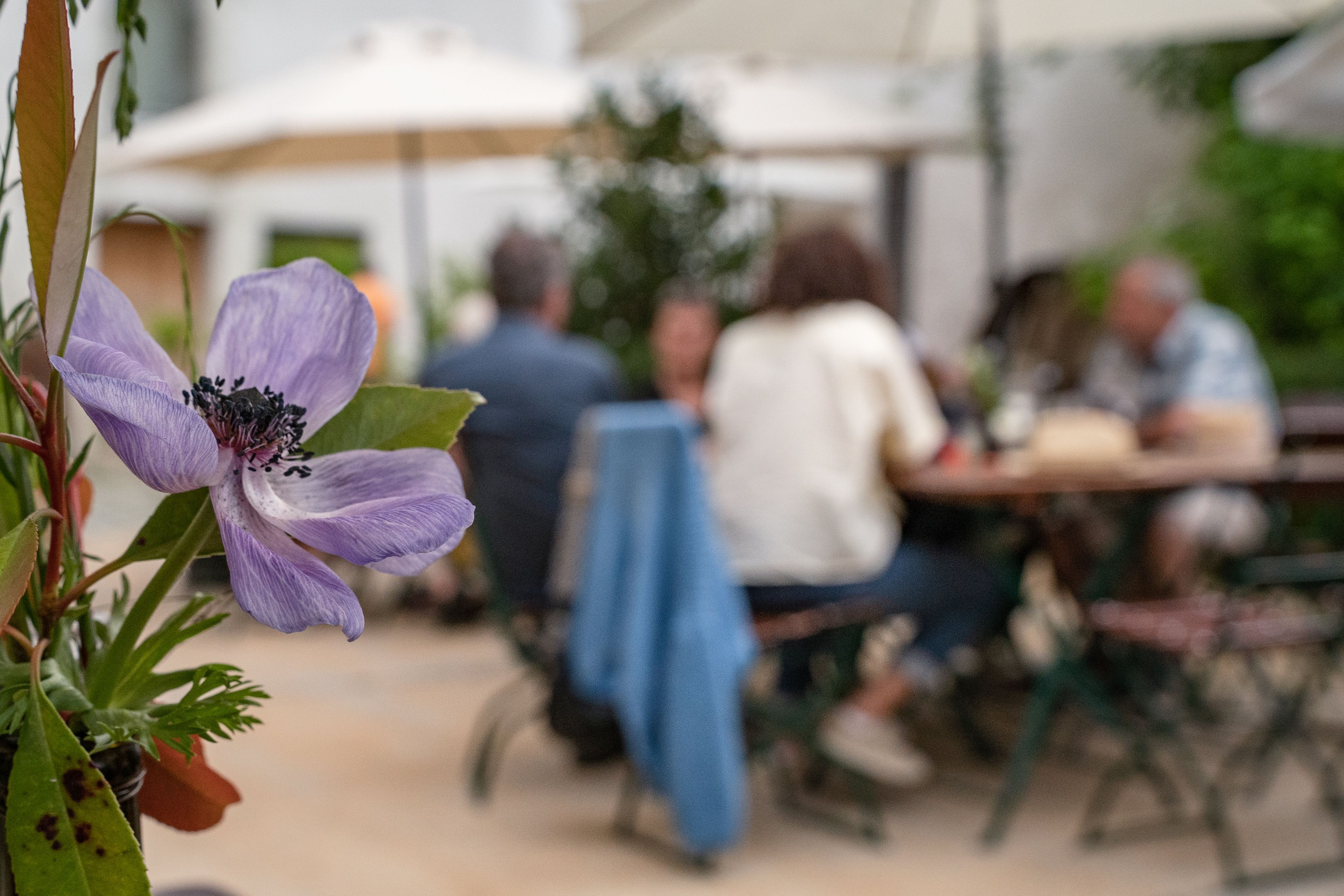 Leute beim Heurigen sitzen im Innenhof