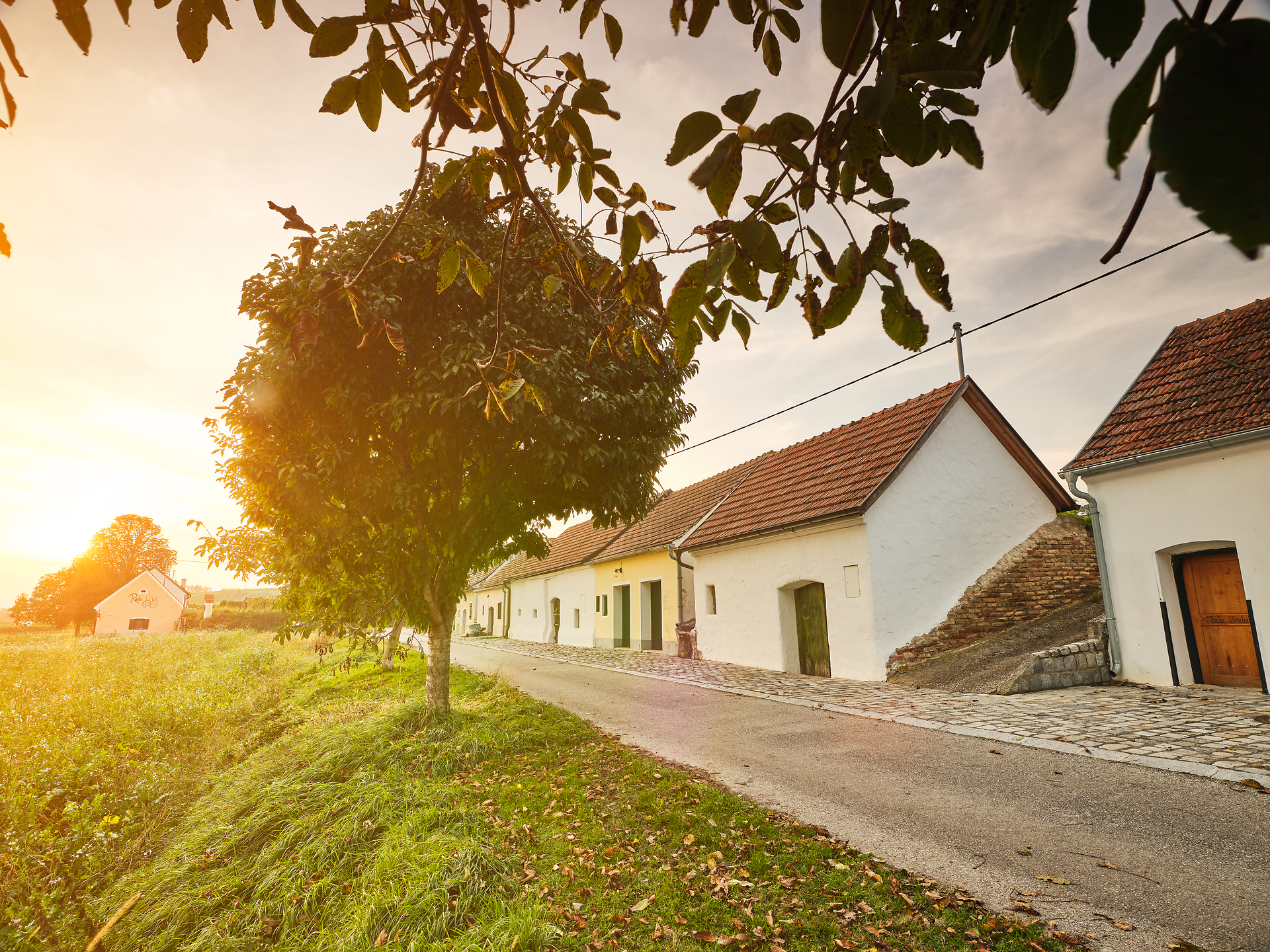 Wora Kellergasse bei Fels am Wagram, Donau in Niederösterreich