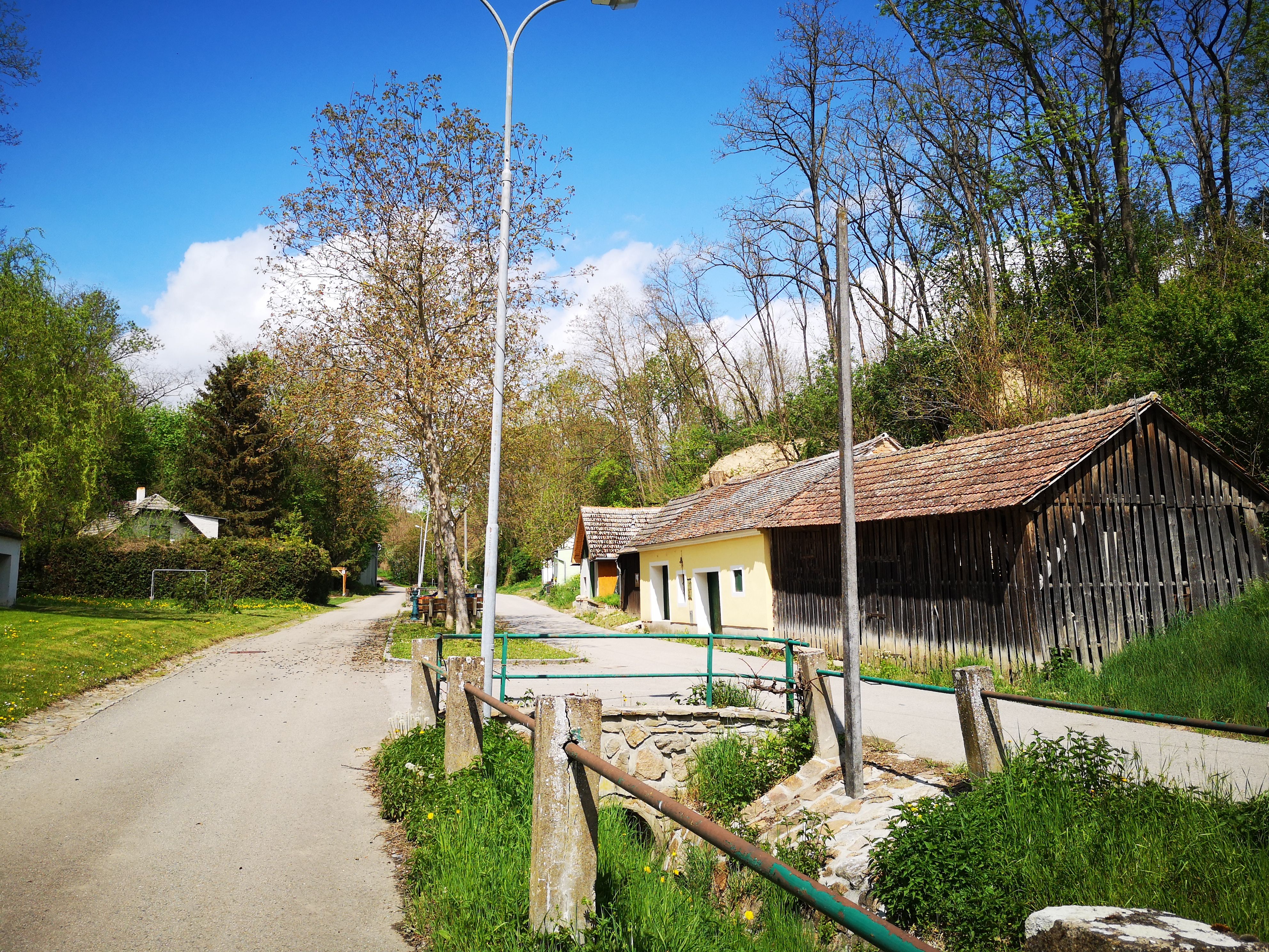 Ruhige Kellergasse mit traditionellen Kellern, umgeben von Grün und Bäumen.