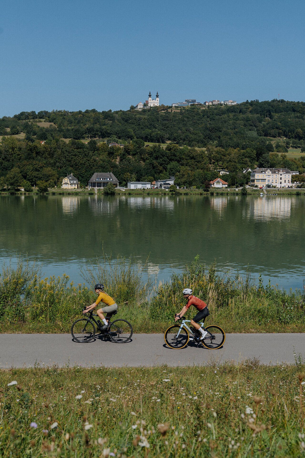 2 Rennradfahrer entland des Donauradweges im Nibelungengau mit Blick auf die Donau und Marbach und Maria Taferl am gegenüberliegenden Donauufer