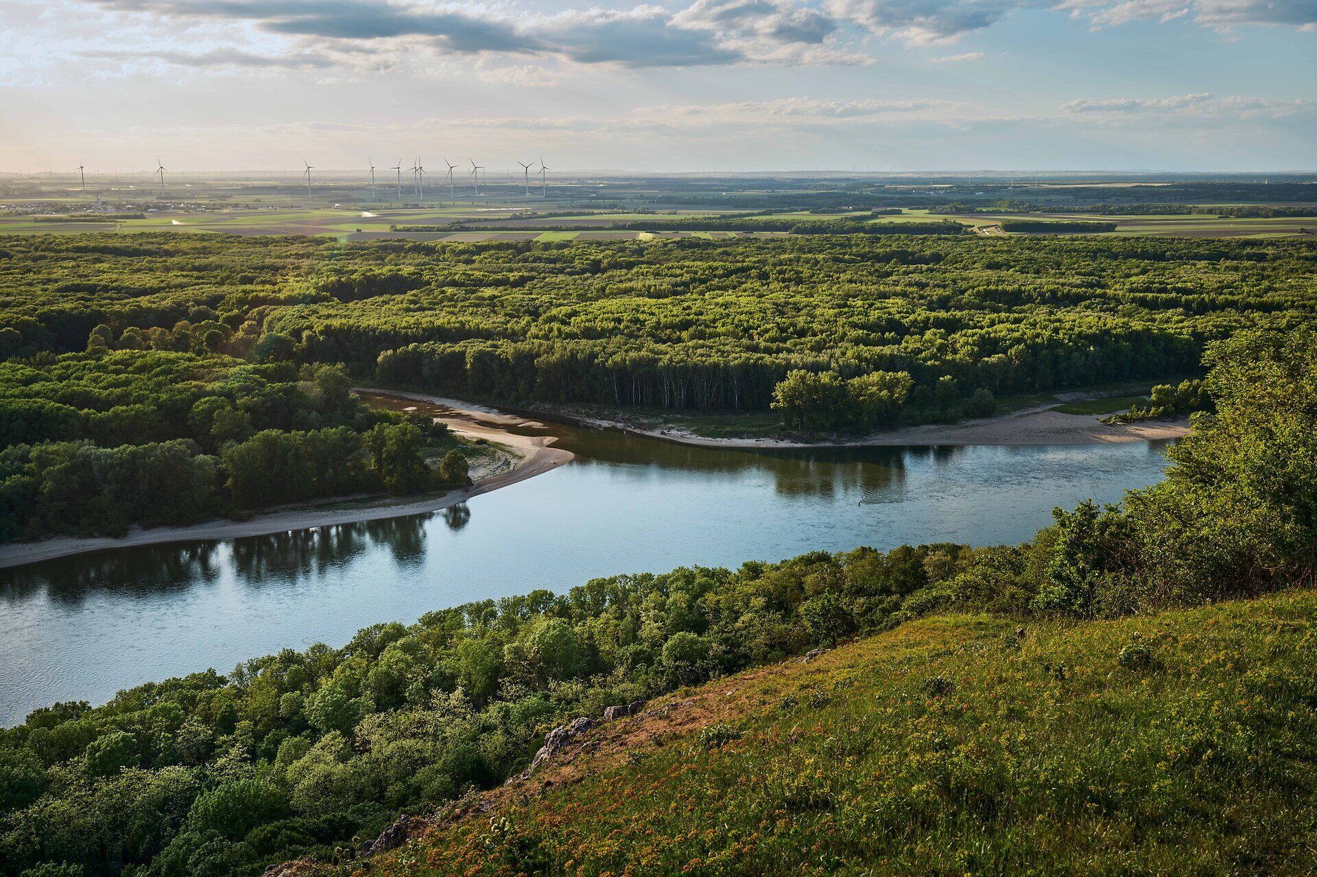 Weitblick vom Braunsberg über die Donau, ausgedehnte Auwälder und die umliegende Landschaft.