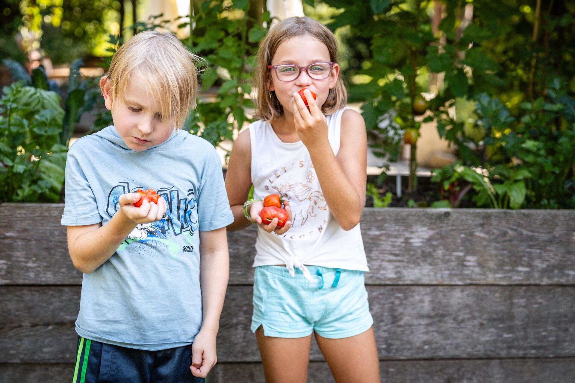 Familienfreundliches Top Ausflugsziel GARTEN TULLN. Zwei Kinder kosten gerade reife Tomaten. Alle sind fröhlich, haben gemeinsam Spaß an diesem sonnigen Tag.